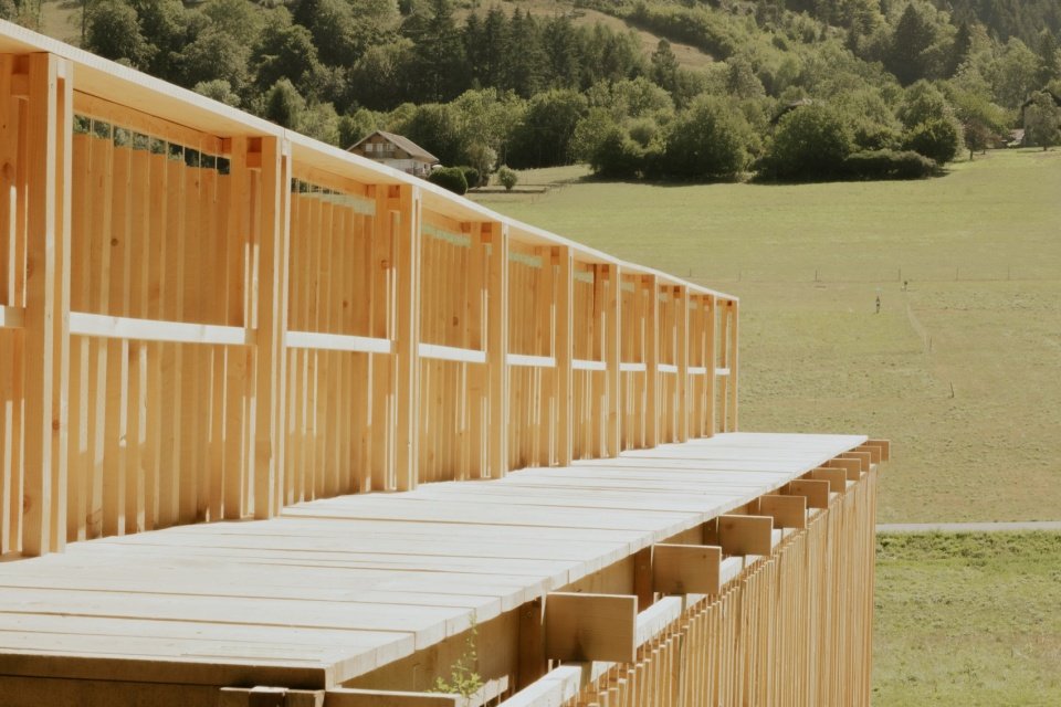 Elevated timber walkway