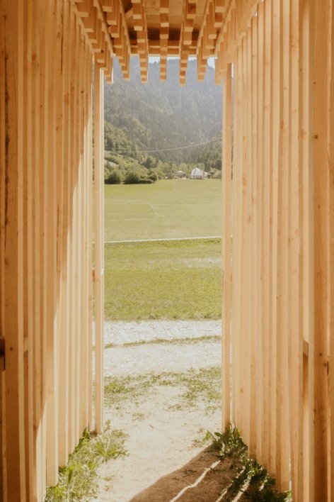 Landscape framed by timber