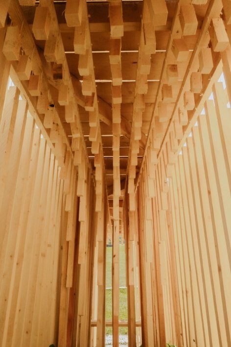 Layers within the timber structure/Layers within the timber structure